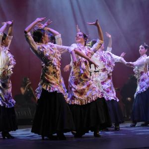 Fotografía de Talleres Danza Española (galería 2) - Conservatorio de Danza